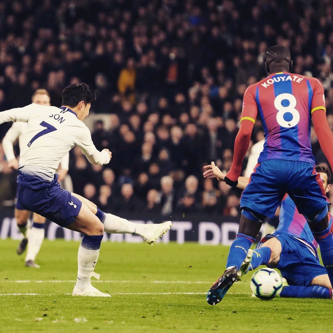 参与多种体 参与多种体